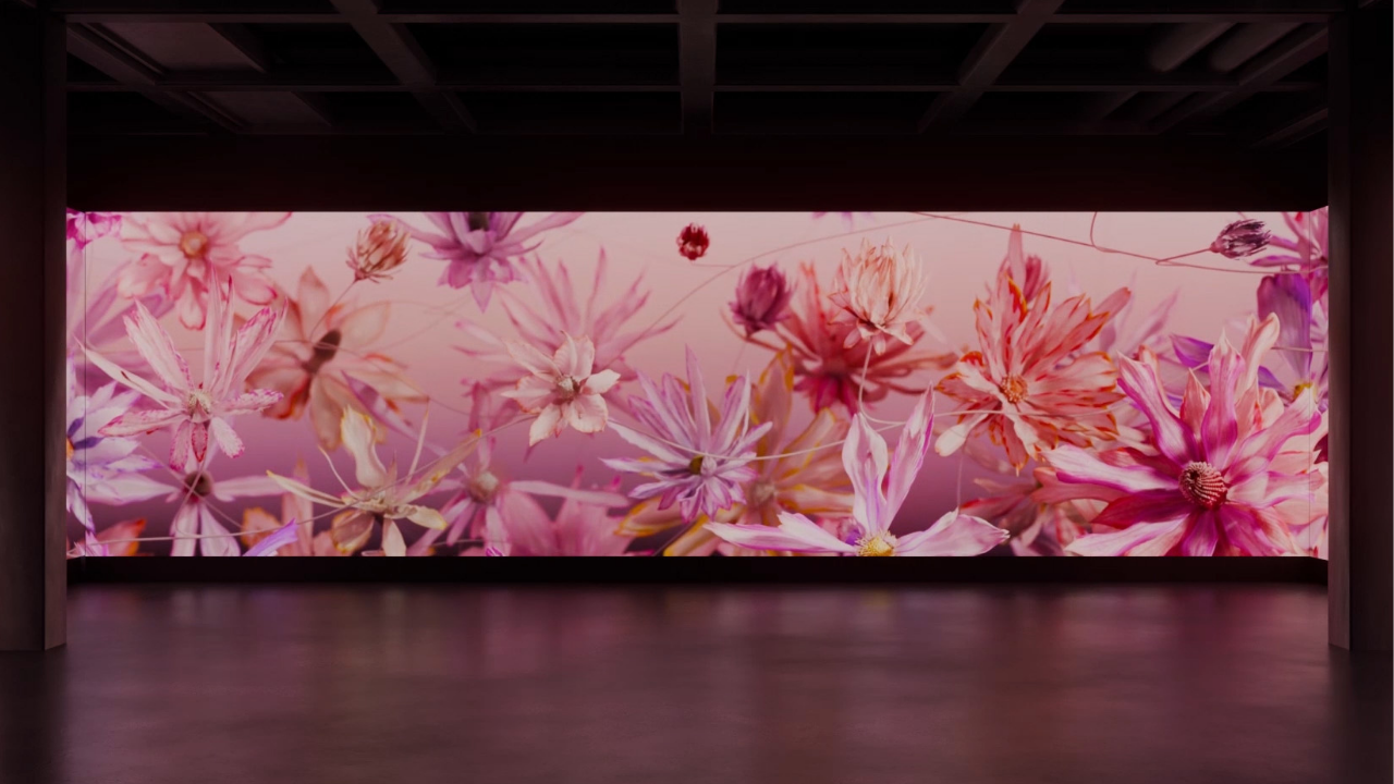 Tomorrow Blooms - ROAM Geelong