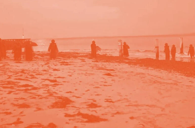 CONTRIBUTARIES, ROAM Geelong