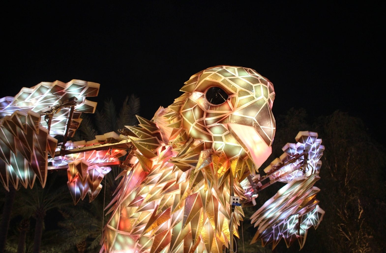 The Falcon, A Blanck Canvas, ROAM Geelong