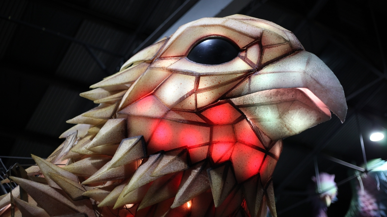 The Falcon, A Blanck Canvas, ROAM Geelong