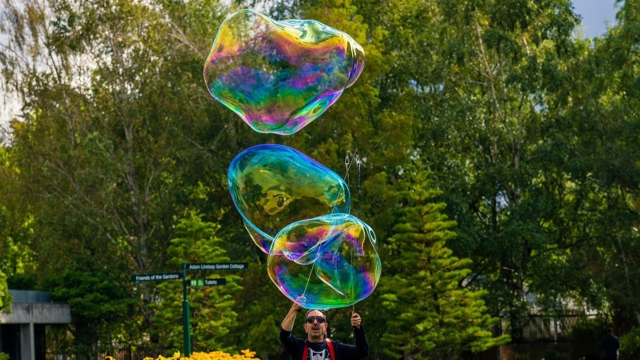 Dr Hubbles Bubbles, ROAM Geelong
