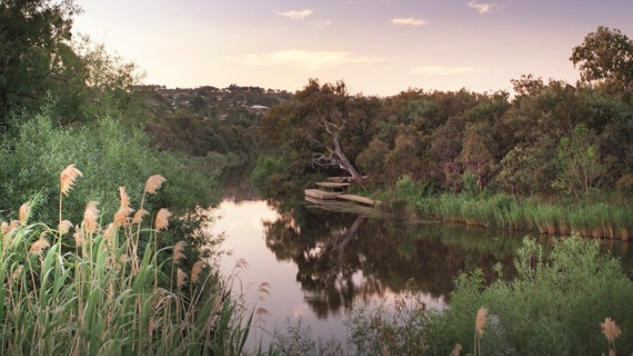 Roam Geelong 11 October 2025