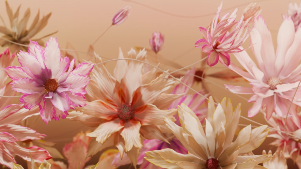 Tomorrow Blooms at ROAM Geelong