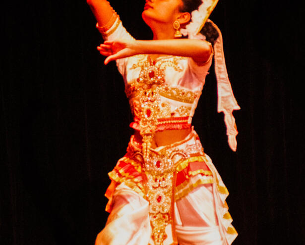 Global ROAM - Presented by Cultura and Geelong Arts Centre. Photography: Chris George (Geelong Camera Club)