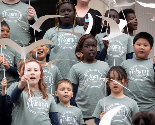 Featherlings - Bluebird Foundation. Photography: Shelley McKiernan (Geelong Camera Club)
